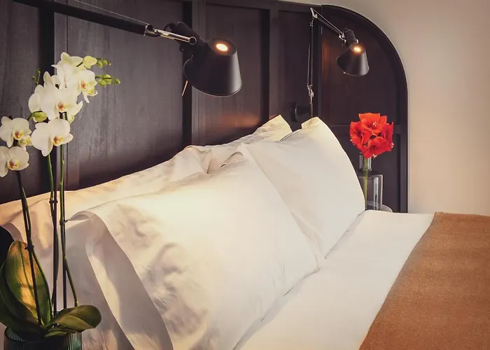 Magnolia Boutique 卡塔尼亚